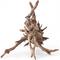 Show in main carousel: Galapagos Hollow Tree Root Driftwood Terrarium Wood, Natural, 12 to 16-in slide 6 of 10
