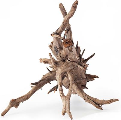 Show full view: Galapagos Hollow Tree Root Driftwood Terrarium Wood, Natural, 12 to 16-in slide 6 of 10