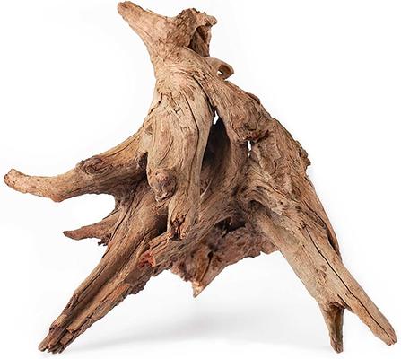 Show full view: Galapagos Hollow Tree Root Driftwood Terrarium Wood, Natural, 12 to 16-in slide 2 of 10