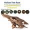 Show in main carousel: Galapagos Hollow Tree Root Driftwood Terrarium Wood, Natural, 12 to 16-in slide 3 of 10