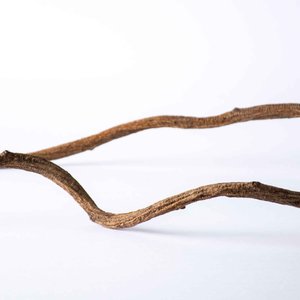 Galapagos Jungle Wood Terrarium Accessory, Natural, 24-in