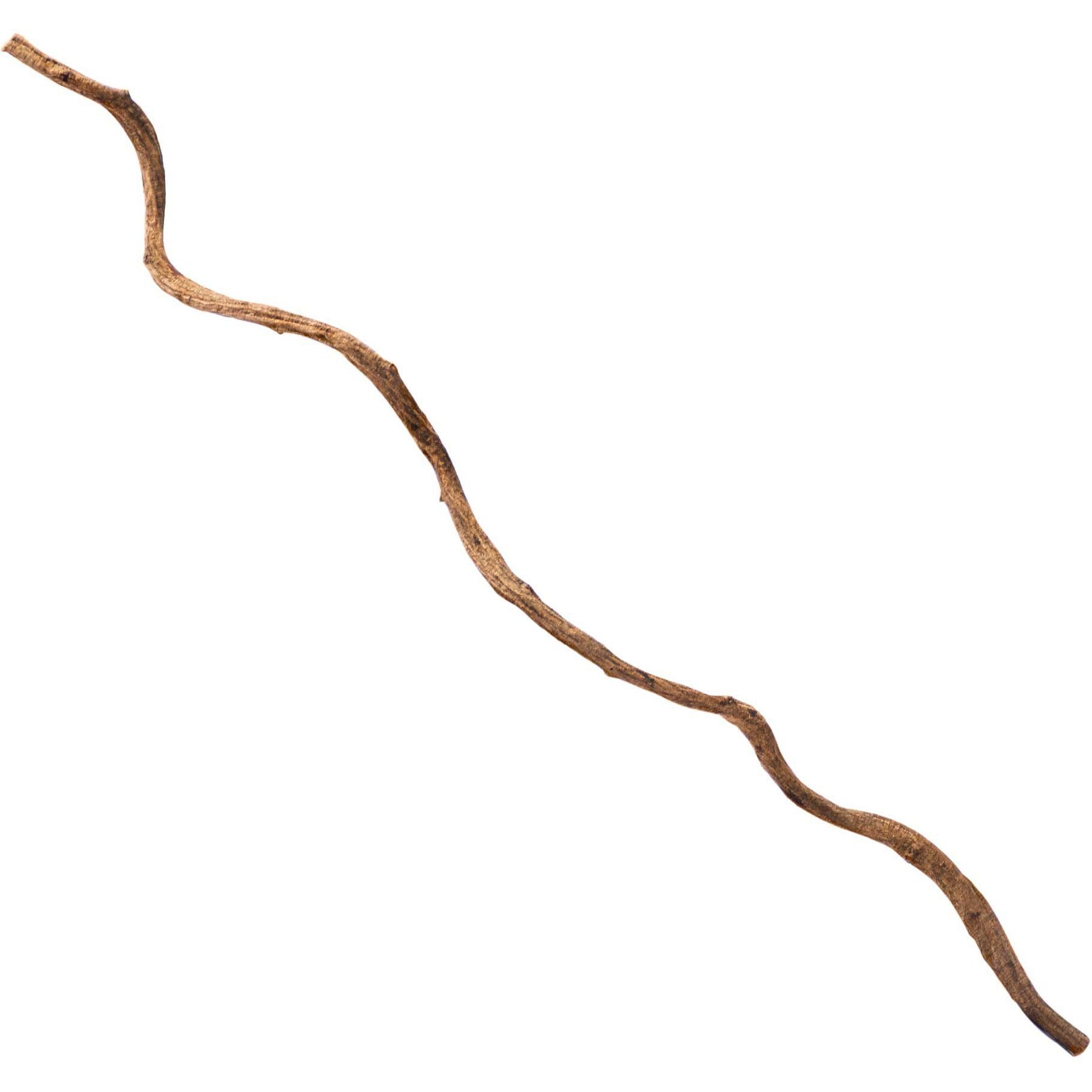 Galapagos Jungle Wood Terrarium Accessory, Natural, 36-in