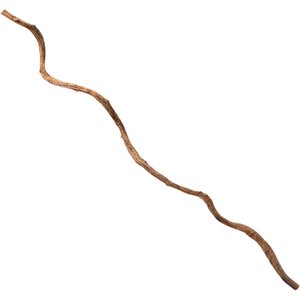 Galapagos Jungle Wood Terrarium Accessory, Natural, 36-in