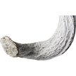 Show in main carousel: Galapagos Jungle Wood Terrarium Accessory, White, 36-in slide 2 of 3