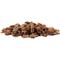 Show in main carousel: Galapagos Jurassic Fir Bark Reptile Terrarium Bedding, 8-qt bag slide 2 of 8