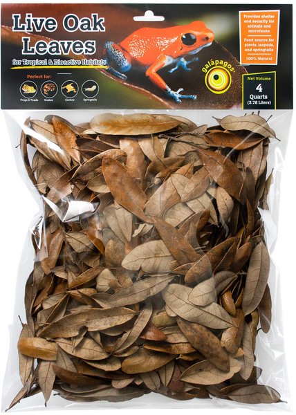 Galapagos Natural Magnolia Leaf Litter (4 Qt) Galapagos Natural Magnolia Leaf Litter (4 Qt)
