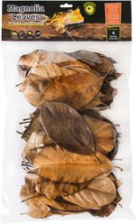 Galapagos Magnolia Terrarium Leaves, 4-qt bag