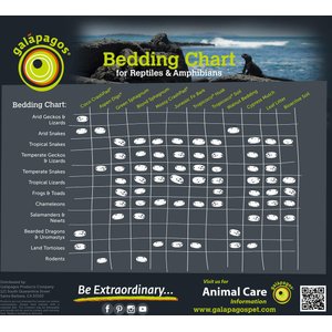 Galapagos Magnolia Terrarium Leaves, 4-qt bag