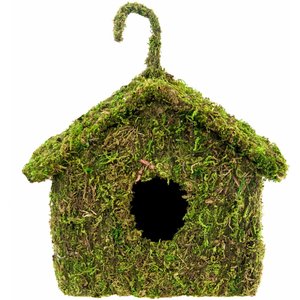 Galapagos Maison Deco Birdhouse, Fresh Green