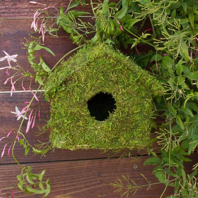 Show full view: Galapagos Maison Deco Birdhouse, Fresh Green slide 3 of 5