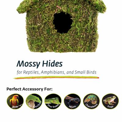 Show full view: Galapagos Maison Deco Birdhouse, Fresh Green slide 4 of 5