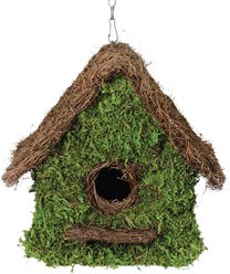 Galapagos Maison Woven Birdhouse, Fresh Green