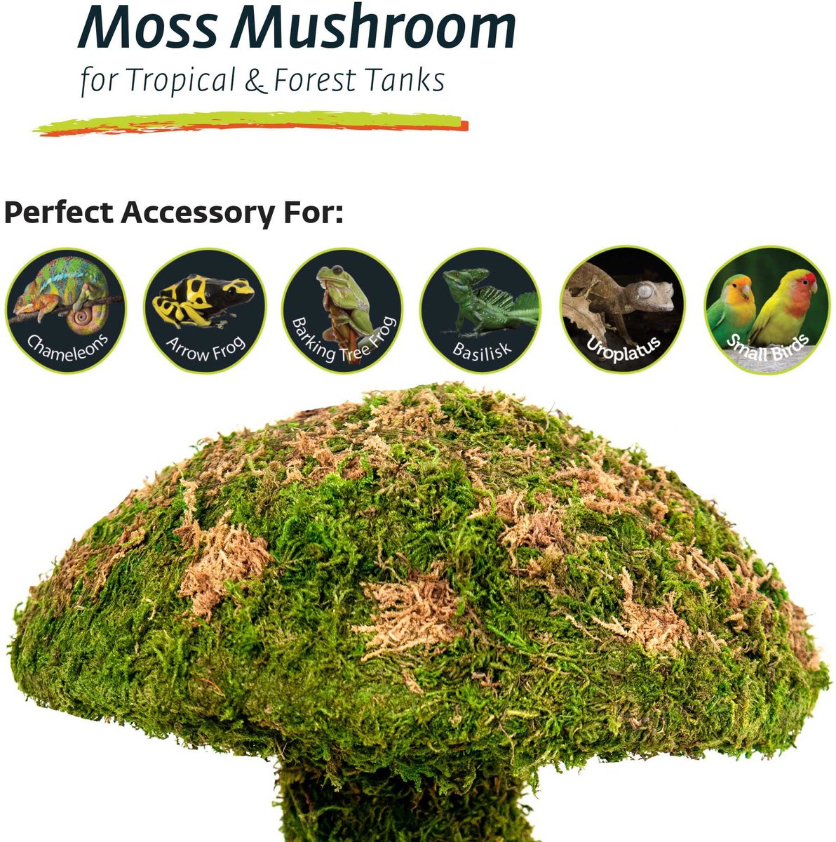 Galapagos Moss Mushroom Reptile & Amphibian Terrarium Accessory, Fresh Green