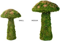 Galapagos Moss Mushroom Reptile & Amphibian Terrarium Accessory, Fresh Green, Small slide 2 of 4
