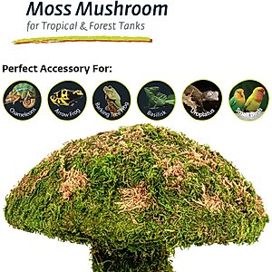 Galapagos Moss Mushroom Reptile & Amphibian Terrarium Accessory, Fresh Green, Small