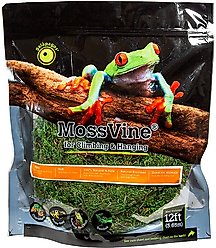 Galapagos MossVine Terrarium Ornament, Fresh Green, 12-ft