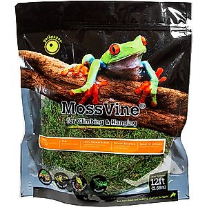 Galapagos MossVine Terrarium Ornament, Fresh Green, 12-ft