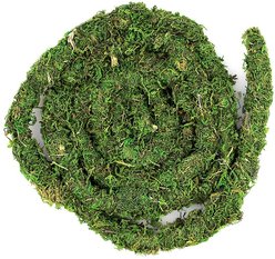 Galapagos MossVine Terrarium Ornament, Fresh Green, 12-ft slide 2 of 3