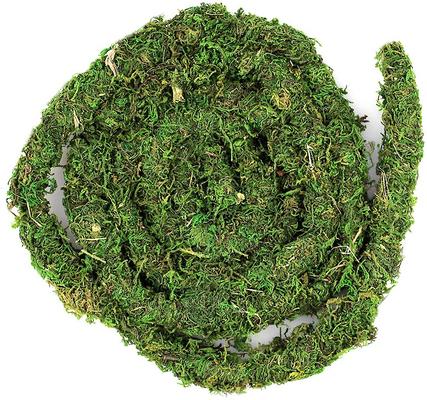 Show full view: Galapagos MossVine Terrarium Ornament, Fresh Green, 12-ft slide 2 of 4