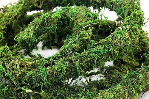 Show full view: Galapagos MossVine Terrarium Ornament, Fresh Green, 12-ft slide 3 of 4