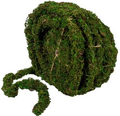 Galapagos MossVine Terrarium Ornament, Fresh Green, 60-ft