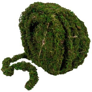 Galapagos MossVine Terrarium Ornament, Fresh Green, 60-ft