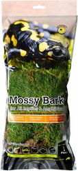 Galapagos Mossy Bark Terrarium Wood, Natural