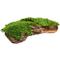 Show in main carousel: Galapagos Mossy Bark Terrarium Wood, Natural slide 6 of 7