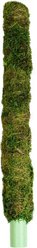 Galapagos Mossy Bird & Reptile Perch, Fresh Green, 18-in