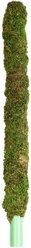 Galapagos Mossy Bird & Reptile Perch, Fresh Green, 24-in