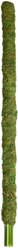 Galapagos Mossy Bird & Reptile Perch, Fresh Green, 36-in