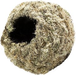 Galapagos Mossy Cave Reptile & Amphibian Terrarium Accessory, 6-in