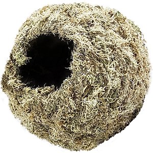 Galapagos Mossy Cave Reptile & Amphibian Terrarium Accessory, 6-in