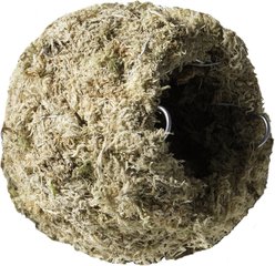 Galapagos Mossy Cave Reptile & Amphibian Terrarium Accessory, Blond, 4-in
