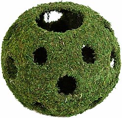 Galapagos Mossy Cave Reptile & Amphibian Terrarium Accessory, Fresh Green, 12-in