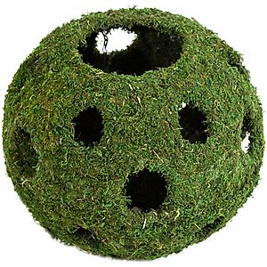 Galapagos Mossy Cave Reptile & Amphibian Terrarium Accessory, Fresh Green, 12-in