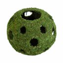 Galapagos Mossy Cave Reptile & Amphibian Terrarium Accessory, Fresh Green, 12-in