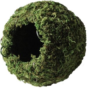 Galapagos Mossy Cave Reptile & Amphibian Terrarium Accessory, Fresh Green, 4-in