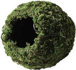 Galapagos Mossy Cave Reptile & Amphibian Terrarium Accessory, Fresh Green, 6-in