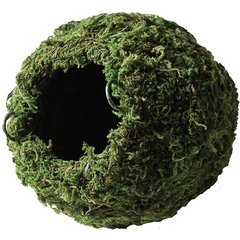 Galapagos Mossy Cave Reptile & Amphibian Terrarium Accessory, Fresh Green, 6-in