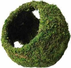 Galapagos Mossy Cave Reptile & Amphibian Terrarium Accessory, Fresh Green, 7.5-in
