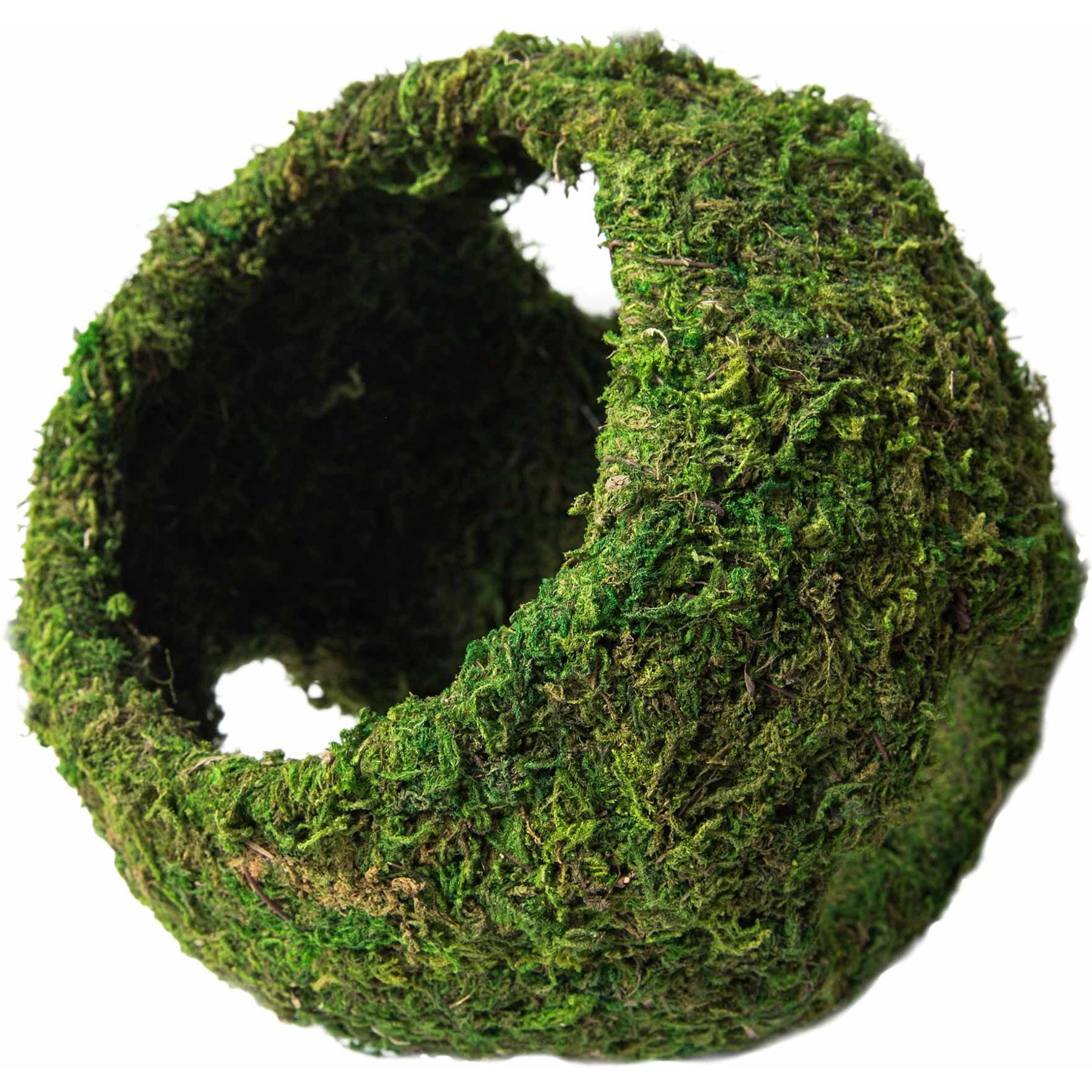 Galapagos Mossy Cave Reptile & Amphibian Terrarium Accessory, Fresh Green, 7.5-in