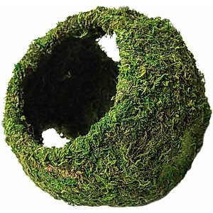 Galapagos Mossy Cave Reptile & Amphibian Terrarium Accessory, Fresh Green, 7.5-in