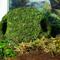 Show in main carousel: Galapagos Mossy Cave Reptile & Amphibian Terrarium Accessory, Fresh Green, 7.5-in slide 2 of 7