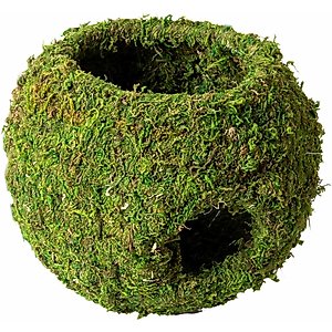 Galapagos Mossy Cave Reptile & Amphibian Terrarium Accessory, Fresh Green, 7.5-in
