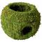 Show in main carousel: Galapagos Mossy Cave Reptile & Amphibian Terrarium Accessory, Fresh Green, 7.5-in slide 5 of 7