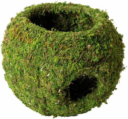 Show full view: Galapagos Mossy Cave Reptile & Amphibian Terrarium Accessory, Fresh Green, 7.5-in slide 5 of 7