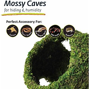 Galapagos Mossy Cave Reptile & Amphibian Terrarium Accessory, Fresh Green, 7.5-in