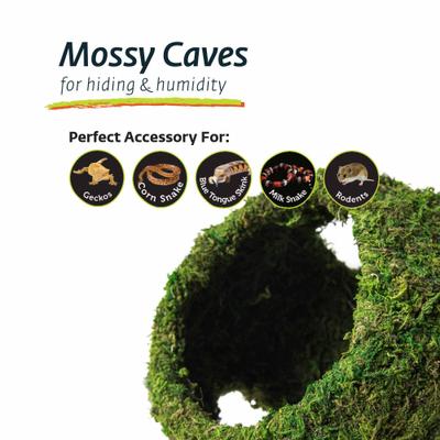 Show full view: Galapagos Mossy Cave Reptile & Amphibian Terrarium Accessory, Fresh Green, 7.5-in slide 6 of 7