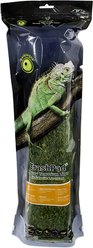 Galapagos Mossy Crash Pad Terrarium Bedding, Fresh Green, 18-in x 36-in